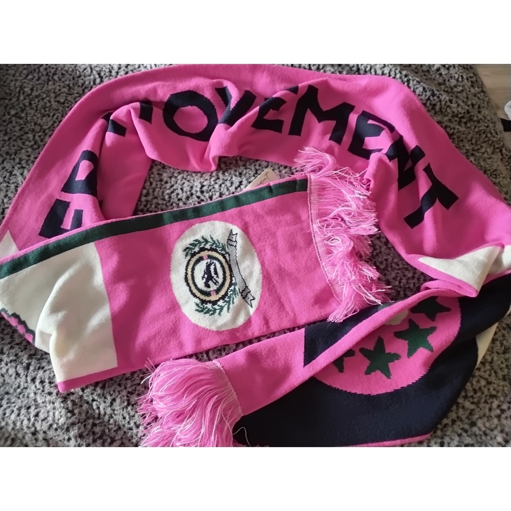 FP Movement Free People Varsity Knit Scarf Pink Navy White Graphic‎ Fringe NWT